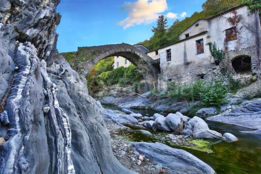 immagine annuncio 10 di 14