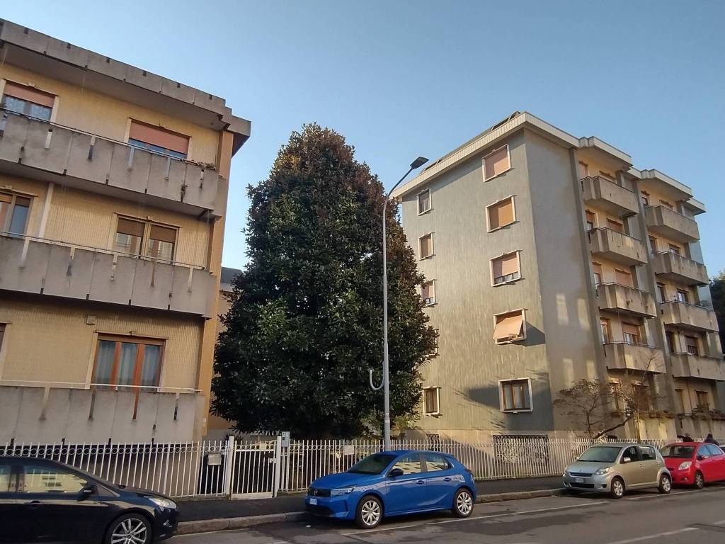 immagine annuncio 13 di 15