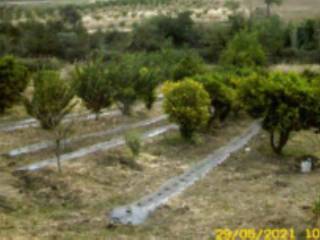 Terreno agricolo all'asta a mazzarino sp13