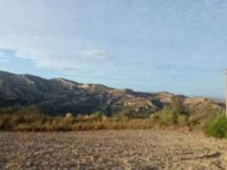 Terreno agricolo all'asta a senise strada comunale stretto di ruscino