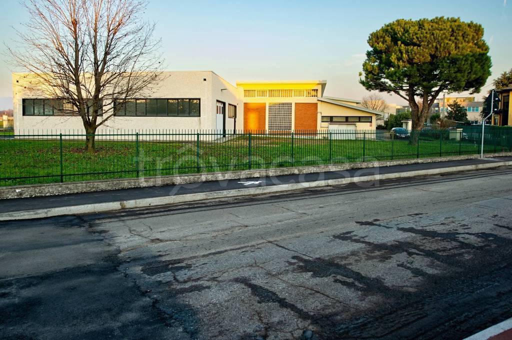 immagine annuncio 6 di 15