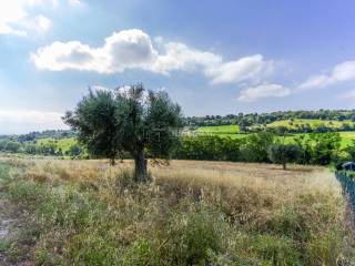 Terreno agricolo in vendita a civitanova marche 