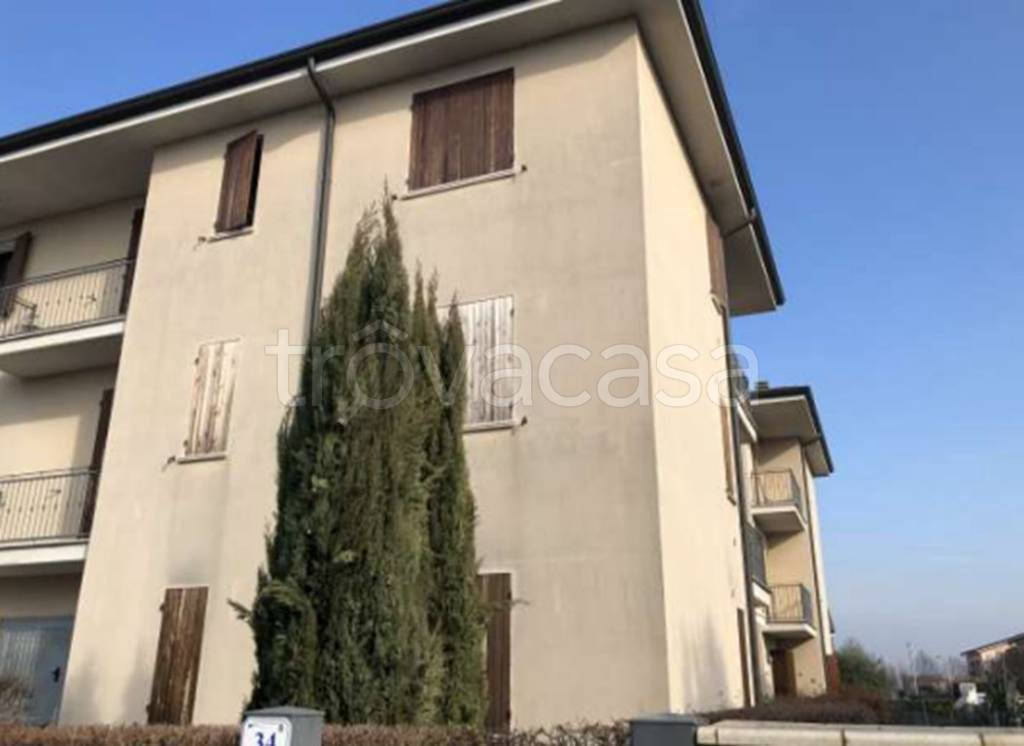 immagine annuncio 1 di 13
