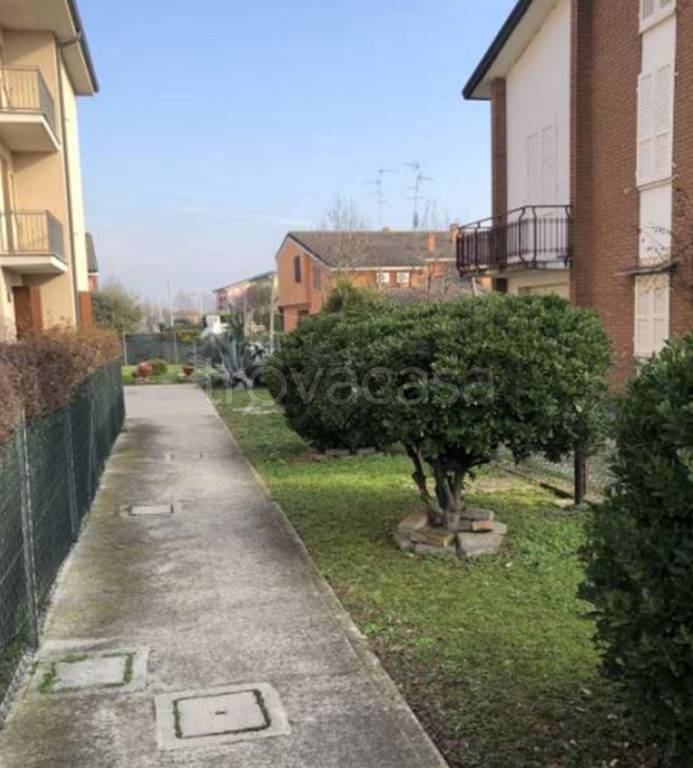 immagine annuncio 5 di 13