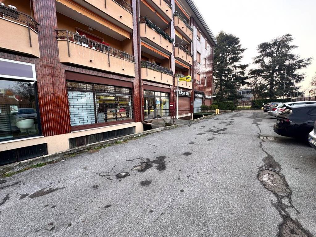 immagine annuncio 5 di 15