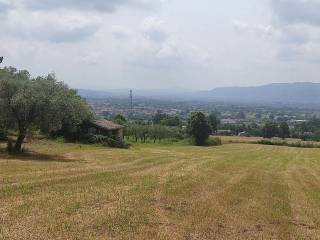 Terreno agricolo in vendita ad alife via san michele