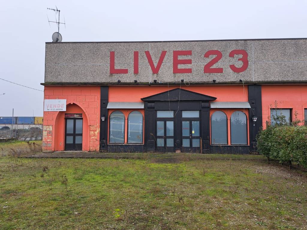 immagine annuncio 1 di 14
