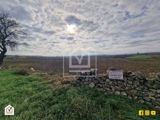 Terreno agricolo in vendita ad altamura strada provinciale tarantina