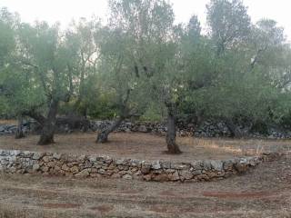 Terreno agricolo in vendita a ostuni sp14, 6