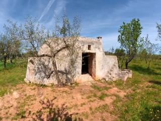 Terreno agricolo in vendita a ostuni sp28 s.n.c.