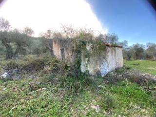 Rustico in vendita a vico del gargano via sant antonio s.n.c.