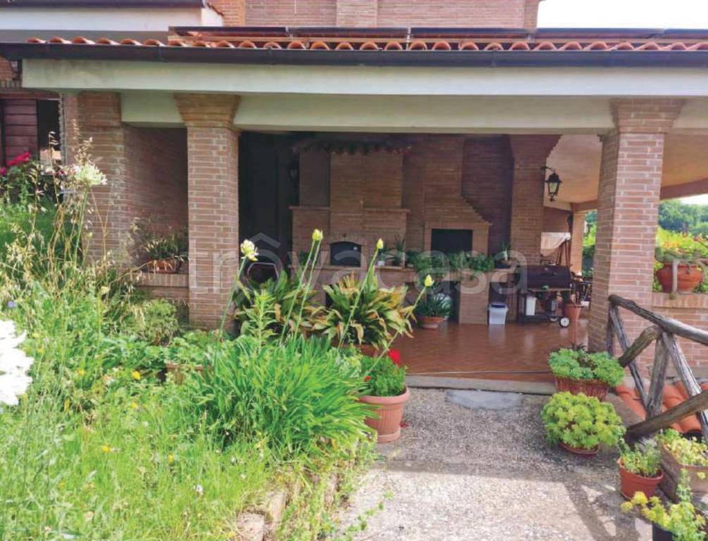 immagine annuncio 5 di 11