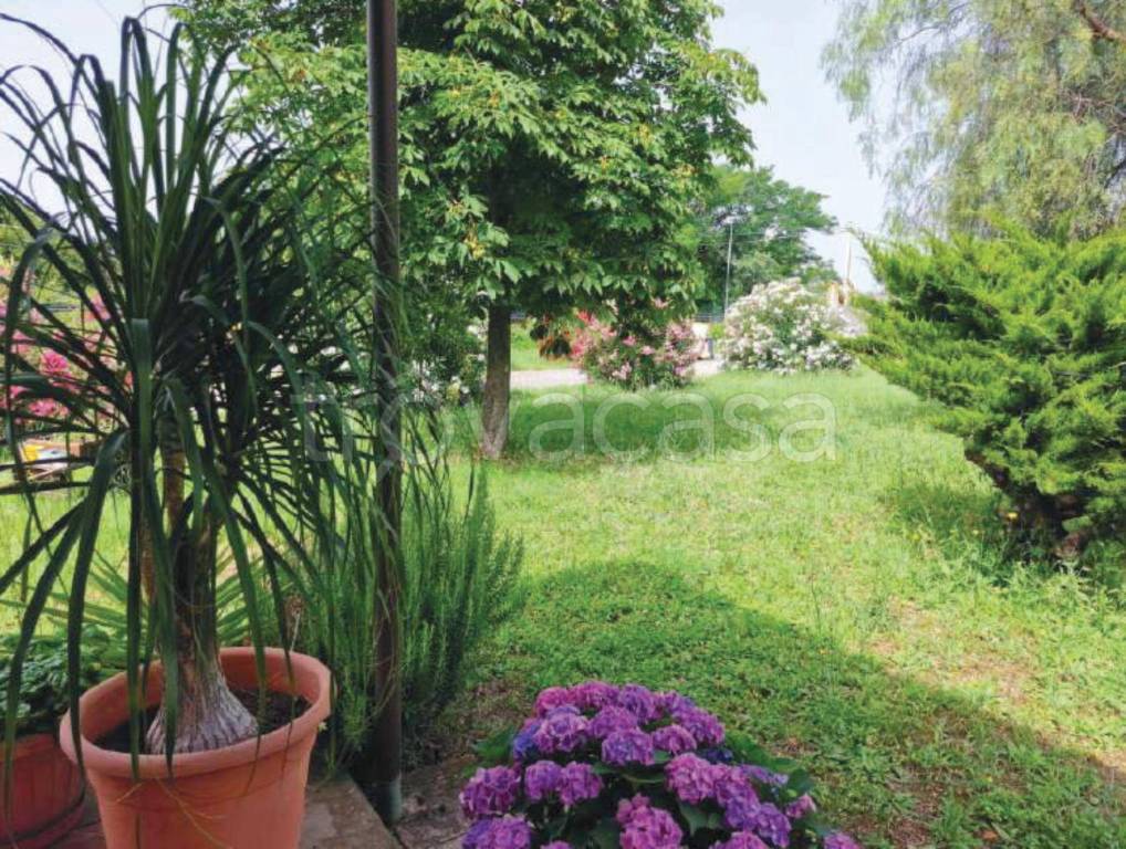 immagine annuncio 6 di 11