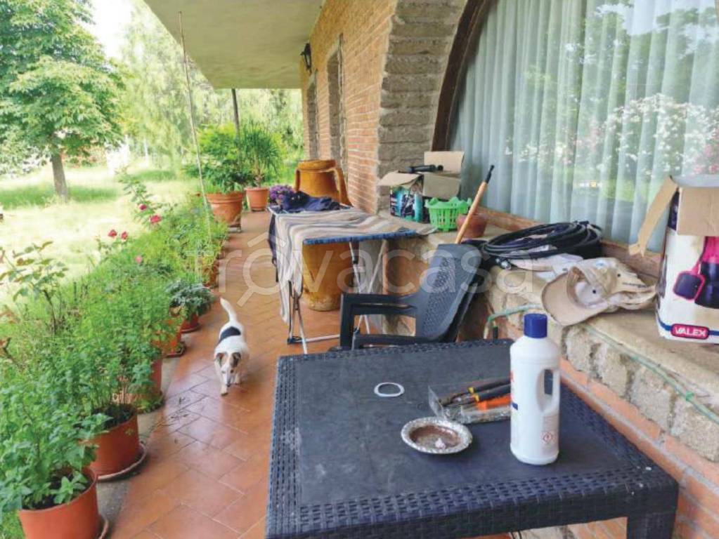 immagine annuncio 7 di 11