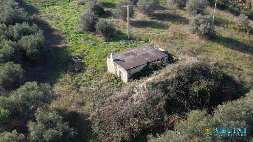 immagine annuncio 2 di 8