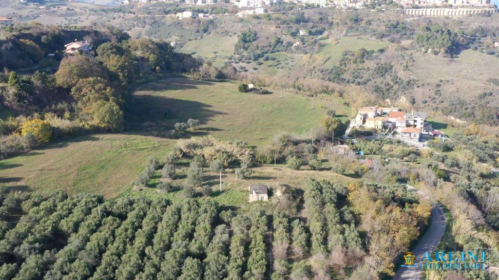 immagine annuncio 5 di 8