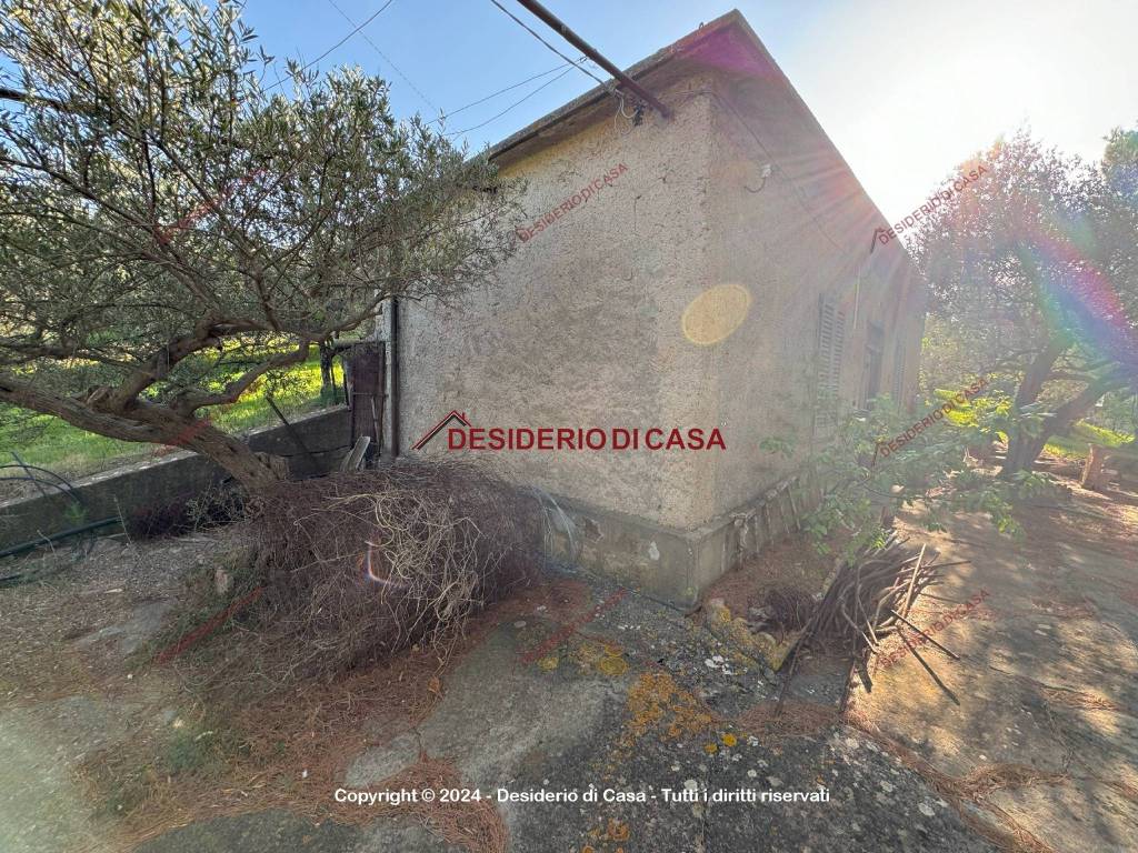 immagine annuncio 3 di 9