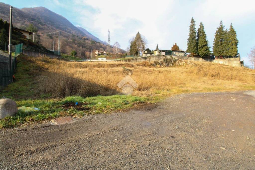 immagine annuncio 1 di 11