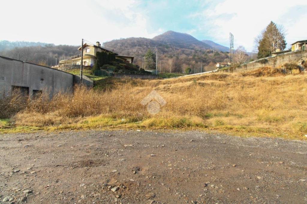 immagine annuncio 2 di 11