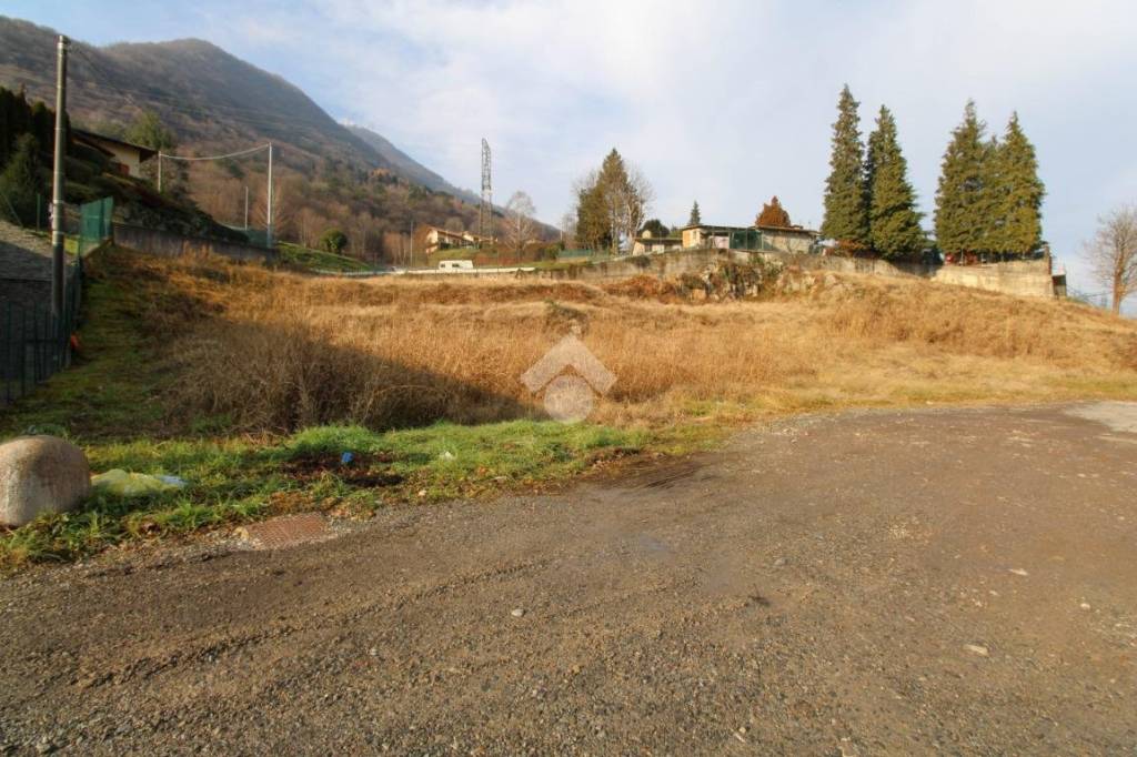 immagine annuncio 5 di 11