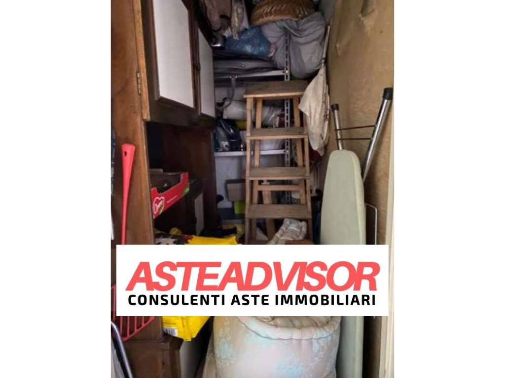 immagine annuncio 6 di 14
