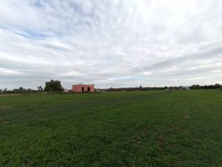 Terreno agricolo in vendita ad alezio strada vicinale colline