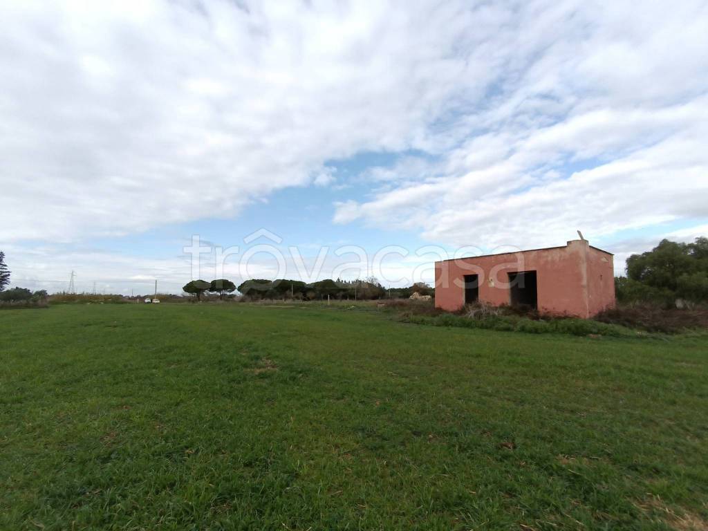 immagine annuncio 2 di 7