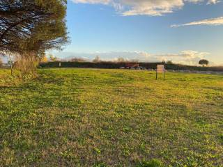 Terreno agricolo in vendita a palma campania via novesche