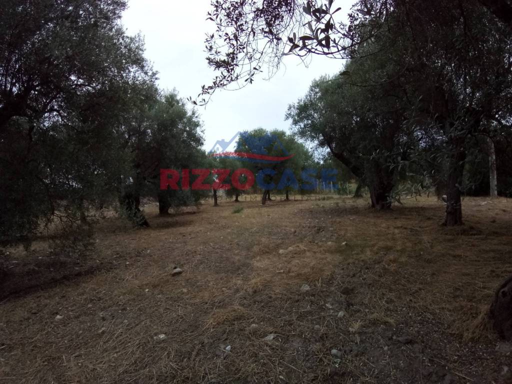 immagine annuncio 5 di 6
