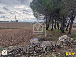 Terreno agricolo in vendita ad altamura contrada la marinella