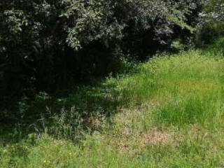 Terreno agricolo all'asta a treviso via terraglio