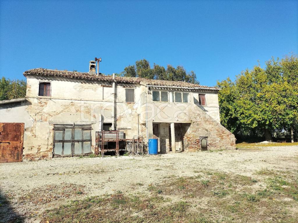 immagine annuncio 5 di 13