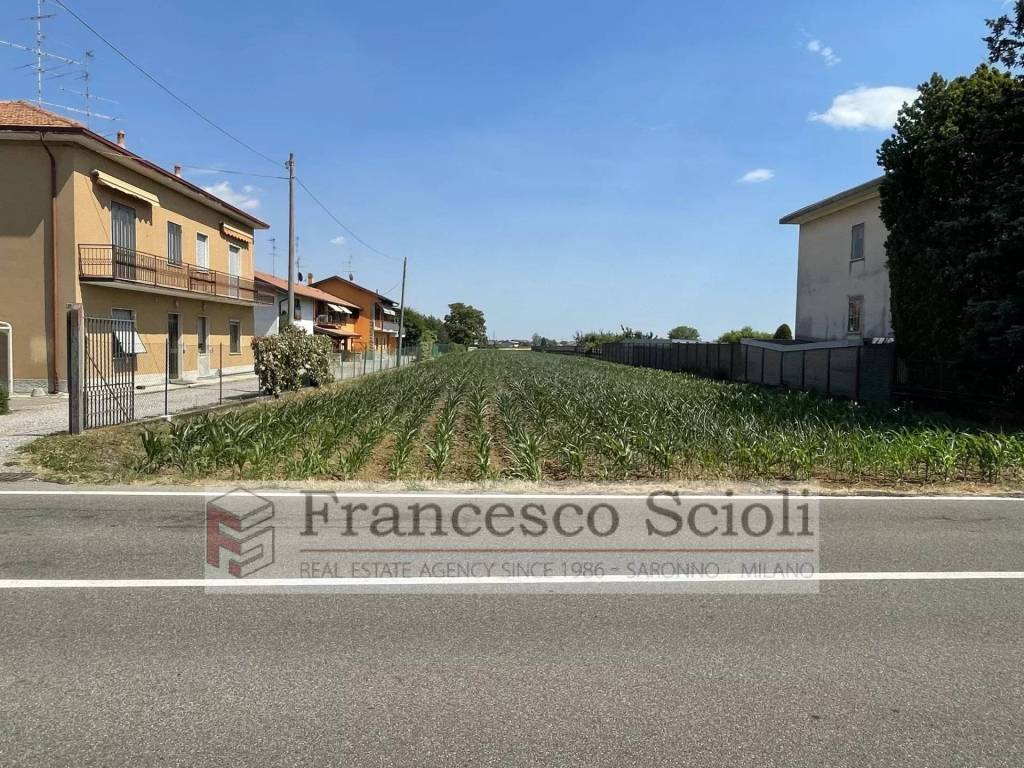 immagine annuncio 5 di 6