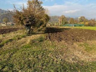 Terreno agricolo all'asta a marostica via ponte cattaneo