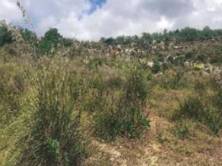 Terreno agricolo all'asta a coreno ausonio contrada candrella