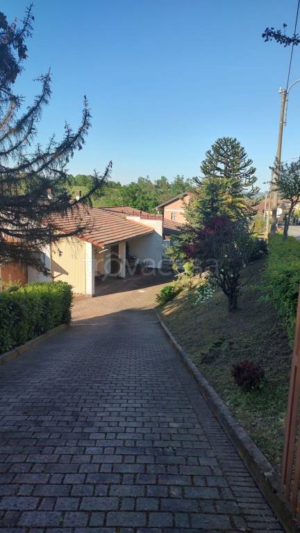 immagine annuncio 3 di 8