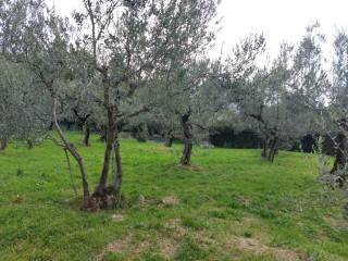 Terreno residenziale in vendita a foligno via ferdinando innamorati