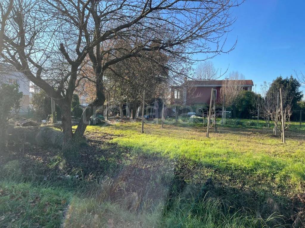 immagine annuncio 5 di 6