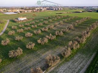 Terreno agricolo in vendita a montalto di castro località la moletta