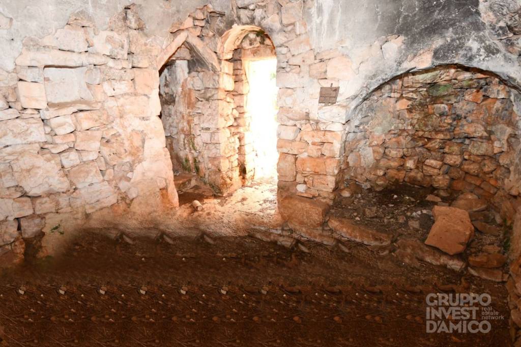 immagine annuncio 1 di 8