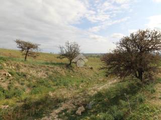 Terreno agricolo in vendita a isola di capo rizzuto contrada ritani