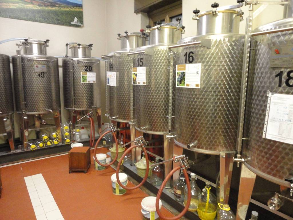 immagine annuncio 7 di 13