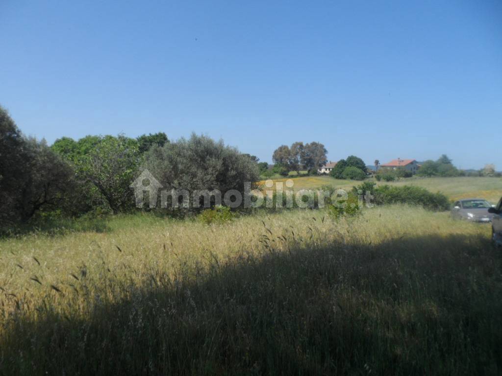 immagine annuncio 4 di 9