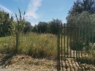 Terreno agricolo in vendita a santa giusta via enrico fermi