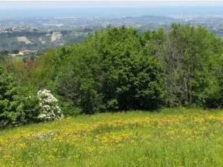 Appartamento in vendita a monte grimano terme via serra