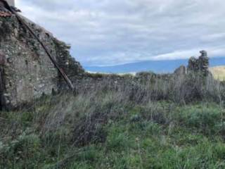 Terreno agricolo all'asta a rende via reggio calabria