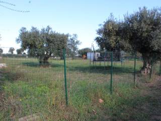 Terreno residenziale in vendita a cepagatti via benedetto profeta