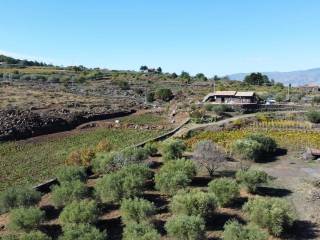 Terreno agricolo in vendita a castiglione di sicilia strada statale dell'etna e delle madonie