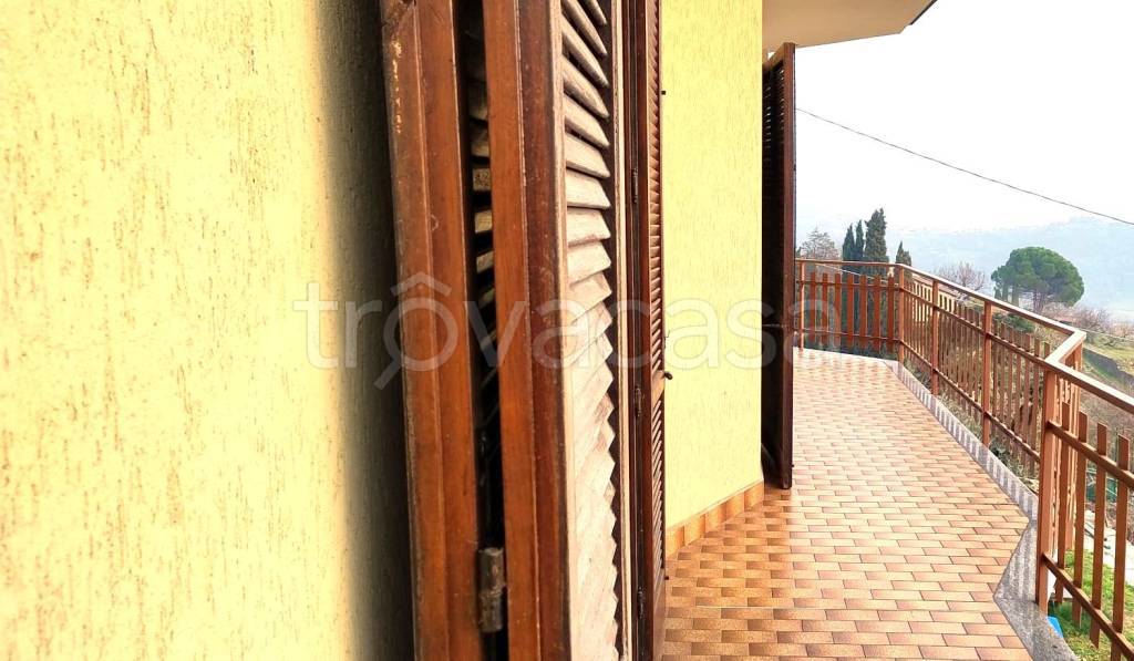 immagine annuncio 7 di 14