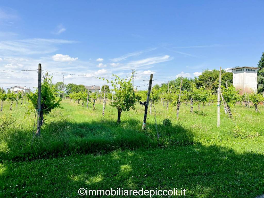 immagine annuncio 2 di 3